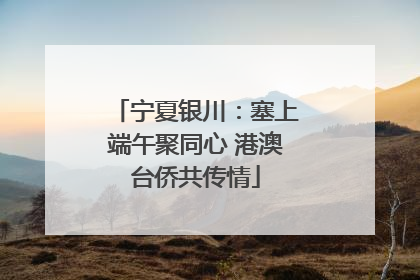 宁夏银川：塞上端午聚同心 港澳台侨共传情